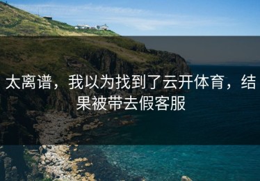 太离谱，我以为找到了云开体育，结果被带去假客服