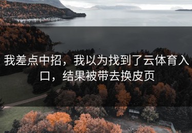 我差点中招，我以为找到了云体育入口，结果被带去换皮页