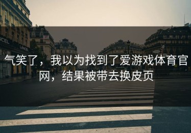 气笑了，我以为找到了爱游戏体育官网，结果被带去换皮页