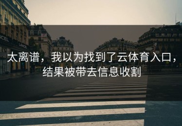 太离谱，我以为找到了云体育入口，结果被带去信息收割
