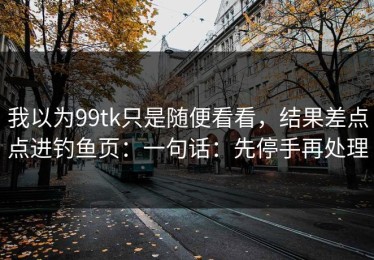 我以为99tk只是随便看看，结果差点点进钓鱼页：一句话：先停手再处理